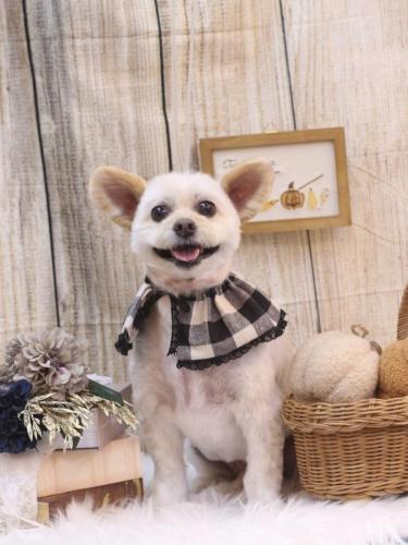 20241019ポンタくん